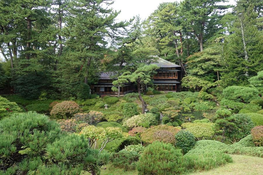 国指定名勝庭園「鶴舞園」の紅葉が始まりました