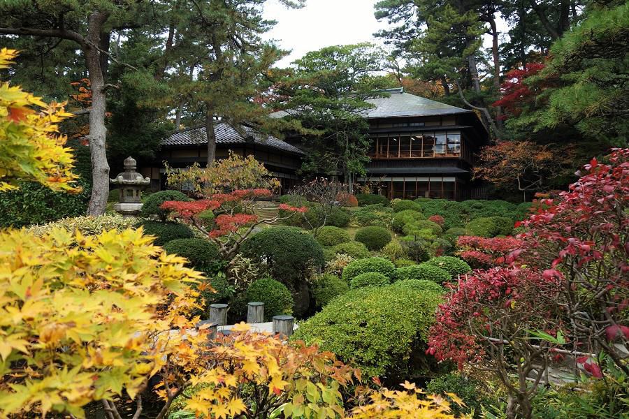 「鶴舞園」の紅葉。今が盛りです！！