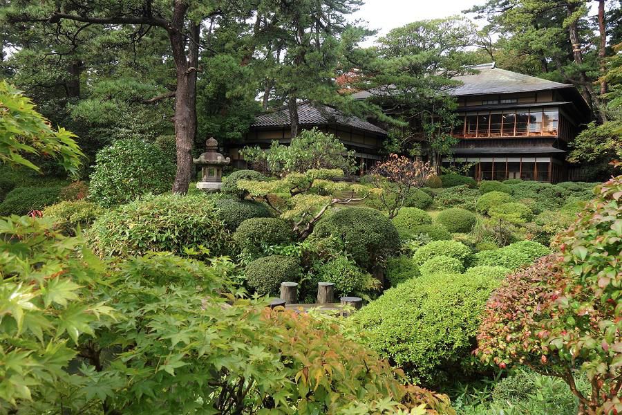 秋の日本庭園