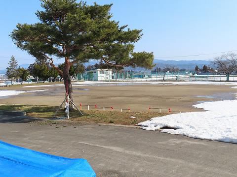 グラウンドの土が見えてきました。＋　めざみっ子給食