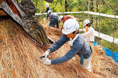 本殿保存修理工事（萱屋根剥ぎ）