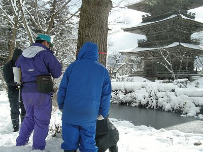 八幡山を守る会（樹幹注入）