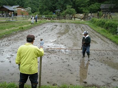 うきたむ考古資料館・歴史公園で田植え