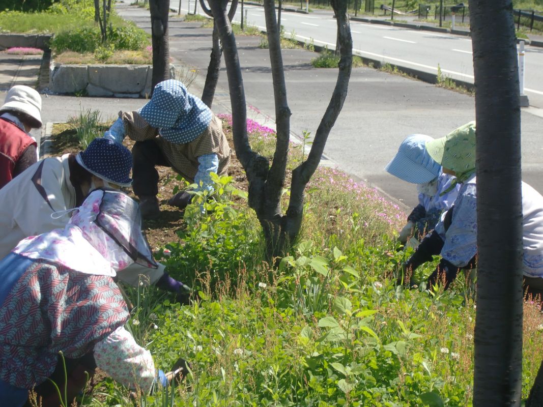 寿クラブ、町上子ども会育成会が花壇草とり作業