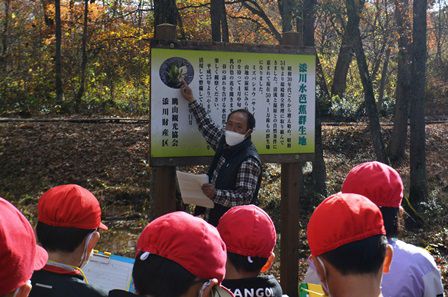 添川小学校「眺山水芭蕉群生地」で総合学習