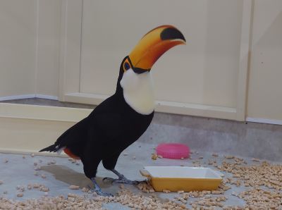 分館長・まちづくり委員合同研修会を開催