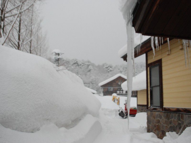 大雪でもへっちゃら！