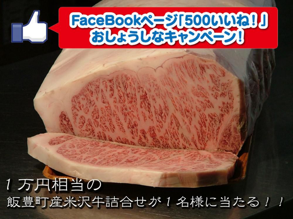 ＦａｃｅＢｏｏｋ「５００いいね！」  おしょうしなキャンペーン