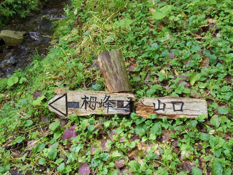 栂峰（つがみね）登山道調査！！～家から出たら帰るまでが登山だ編～