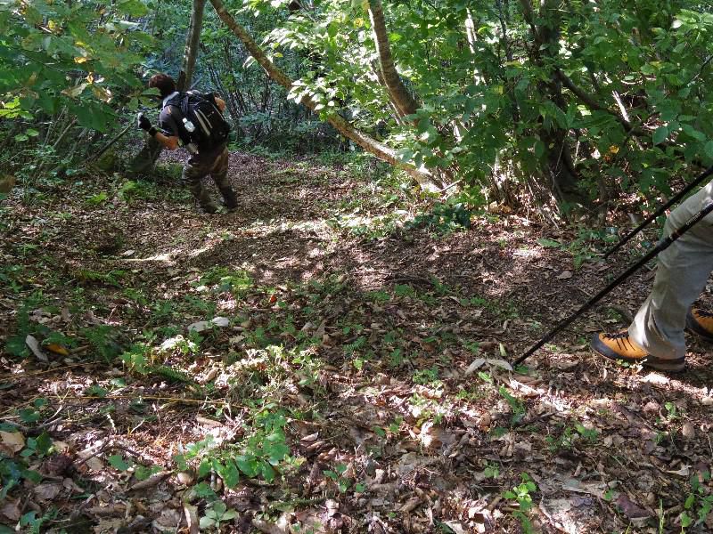 栂峰（つがみね）登山道調査！！～登った分だけ下る事を忘れるな編～