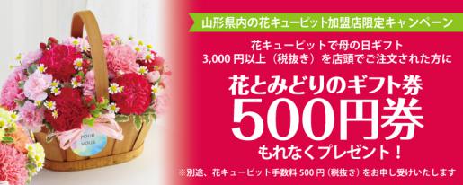 母の日キャンペーン開催中です 花キューピットやまがた