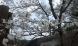 栃木遠征:2013/04/05 20:23