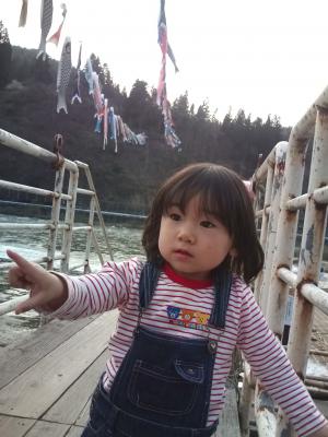 「鯉のぼりたーくさん」の画像