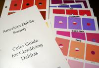 ¡Ö¥À¥ê¥¢¡ÊÅ·¼³²´Ã°¡Ëʪ¸ì¡¡£Ö£ï£ì¡¥35¡×¤Î²èÁü