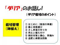 ¡Ö¥À¥ê¥¢¡ÊÅ·¼³²´Ã°¡Ë¤Î¤ªÏä·¡¡Vol.£±¡×¤Î²èÁü