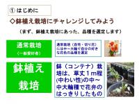 ¡Ö¥À¥ê¥¢¡ÊÅ·¼³²´Ã°¡Ë¤Î¤ªÏä·¡¡Vol.2¡×¤Î²èÁü