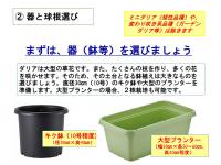 ¡Ö¥À¥ê¥¢¡ÊÅ·¼³²´Ã°¡Ë¤Î¤ªÏä·¡¡Vol.3¡×¤Î²èÁü