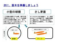 ¡Ö¥À¥ê¥¢¡ÊÅ·¼³²´Ã°¡Ë¤Î¤ªÏä·¡¡Vol.4¡×¤Î²èÁü