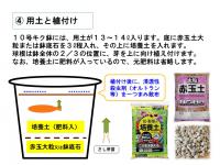 ¡Ö¥À¥ê¥¢¡ÊÅ·¼³²´Ã°¡Ë¤Î¤ªÏä·¡¡Vol.7¡×¤Î²èÁü