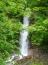 「白滝」画像