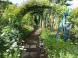 《バラ庭》ガーデンNOW〜・・きょうの庭は〜(^^♪：2022/06/04 22:46