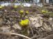 ²Ö¤Ïºé¤Ž¥Ž¥Ž¥¡§2013/04/15 00:48