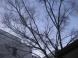 ¸«Á÷¤ê¡§2013/04/15 02:53