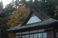 「霜が降りました・・・」の画像