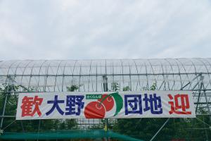 「さくらんぼオーナー募集&バリアフリー観光 さくらんぼ狩り」の画像