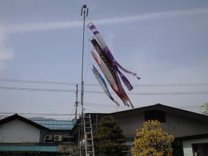 「こいのぼりダーッ!」の画像