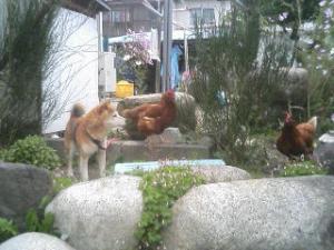 「元気ですよーっ!」の画像