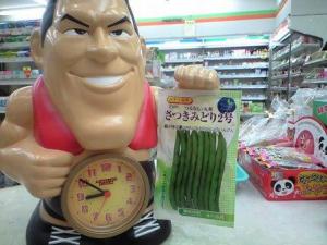 「これ、何ダーッ!」の画像