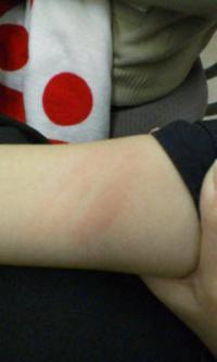 ¡ÖÎëÌÚ¤·¤Ã¤ÚΤ̤¡×¤Î²èÁü