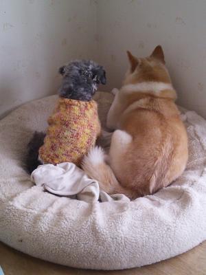 「ひと区切り」の画像