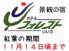 2010/11/09 ¹ÈÍդδü´Ö·Ê´Ñ¤Î¥Û¥Æ¥ë½ÉÇñ¶õ¤¾õ¶·