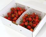 フルッティア印さくらんぼ / 朝摘みスペシャル1kg:2009-06-25 23:17:00