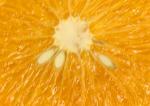 和歌山県日高産《さつき紅八朔》べにはっさく:2012-04-27 05:00:00