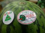 山形県尾花沢産《ひとりじめ小玉西瓜》はながさEM研究会:2010-07-29 23:57:00