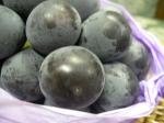 山形県天童産《種なしピオーネ》花輪農園:2010-07-29 13:26:00