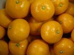 愛媛県産《蜜るみかん》愛媛みかんのブランド:2011-12-21 17:50:00