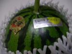 高知県夜須産《温室西瓜》ルナピエナ:Luna Piena:2010-01-06 02:00:00