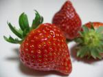 いちご食べ比べbox/大粒いちご5種夢の競演:2010-01-06 18:17:00