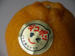 長崎県産《温室デコポン》JAながさき全農:2012-01-10 12:00:00