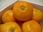 愛知県蒲郡産《温室みかん》宮川早生:2012-04-30 16:09:00