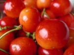 山形県産《紅秀峰》7月のさくらんぼ:2009-07-01 21:01:00