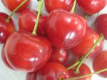 山形県産《紅てまり》山形さくらんぼの極晩生品種:2009-07-01 19:37:00