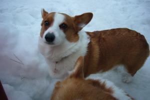 「ブログってなんだっけ?っていうほど。」の画像