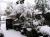 「雛雪?」のサムネイル