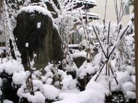 「雪のある風景」の画像
