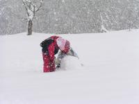 「自然大好き」の画像